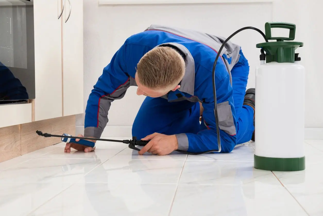 Male Worker Spraying Pesticide On Cabinet